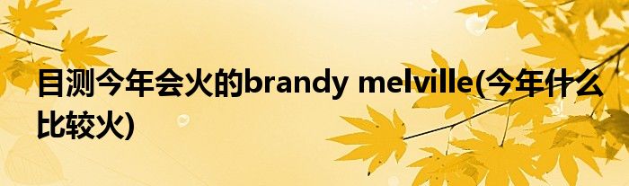 目測今年會火的brandy melville(今年什么比較火)