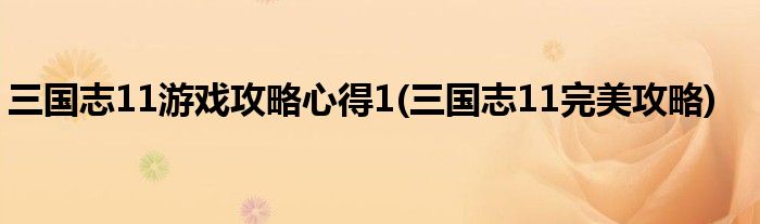 三國志11游戲攻略心得1(三國志11完美攻略)