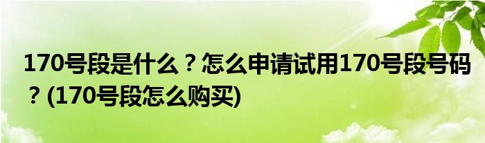 170號段是什么？怎么申請試用170號段號碼？(170號段怎么購買)