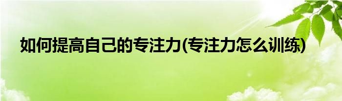如何提高自己的專注力(專注力怎么訓練)