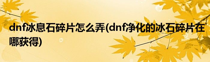 dnf冰息石碎片怎么弄(dnf凈化的冰石碎片在哪獲得)