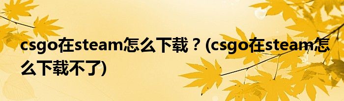 csgo在steam怎么下載？(csgo在steam怎么下載不了)