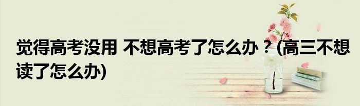 覺(jué)得高考沒(méi)用 不想高考了怎么辦？(高三不想讀了怎么辦)