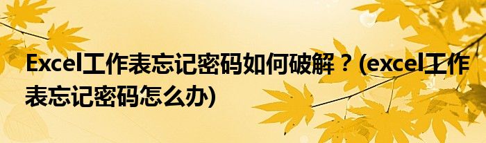 Excel工作表忘記密碼如何破解？(excel工作表忘記密碼怎么辦)