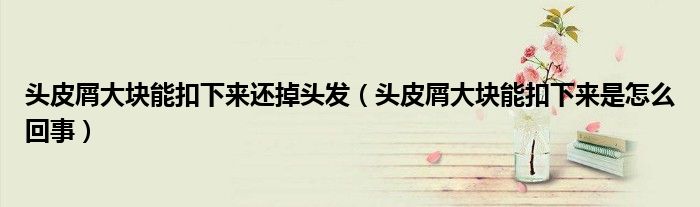 頭皮屑大塊能扣下來(lái)還掉頭發(fā)(頭皮屑大塊能扣下來(lái)是怎么回事)