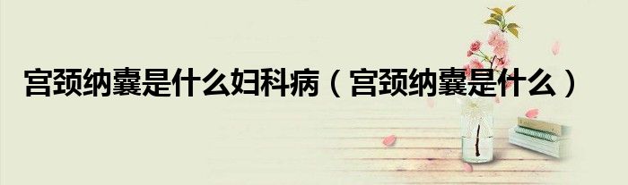 宮頸納囊是什么婦科?。▽m頸納囊是什么）