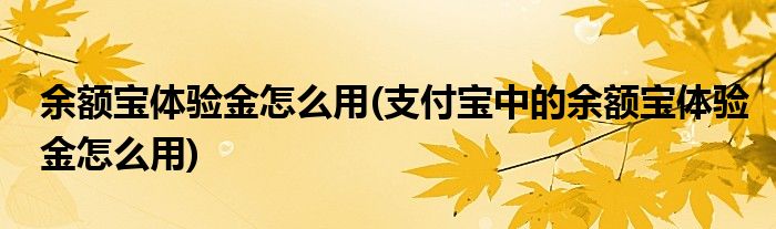 余額寶體驗金怎么用(支付寶中的余額寶體驗金怎么用)