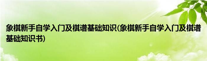 象棋新手自學(xué)入門及棋譜基礎(chǔ)知識(shí)(象棋新手自學(xué)入門及棋譜基礎(chǔ)知識(shí)書(shū))