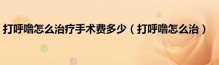 打呼嚕怎么治療手術(shù)費(fèi)多少（打呼嚕怎么治）
