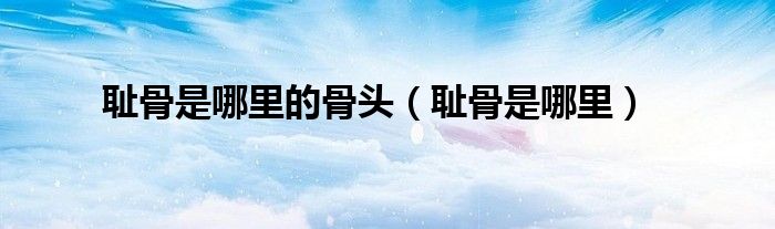 恥骨是哪里的骨頭（恥骨是哪里）
