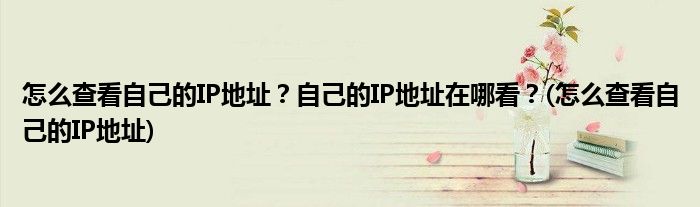 怎么查看自己的IP地址？自己的IP地址在哪看？(怎么查看自己的IP地址)