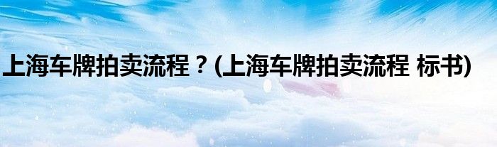 上海車牌拍賣流程？(上海車牌拍賣流程 標(biāo)書)