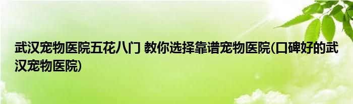 武漢寵物醫(yī)院五花八門 教你選擇靠譜寵物醫(yī)院(口碑好的武漢寵物醫(yī)院)