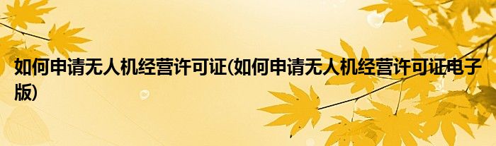 如何申請無人機經(jīng)營許可證(如何申請無人機經(jīng)營許可證電子版)