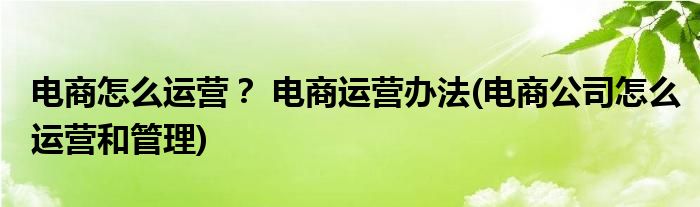 電商怎么運營？ 電商運營辦法(電商公司怎么運營和管理)