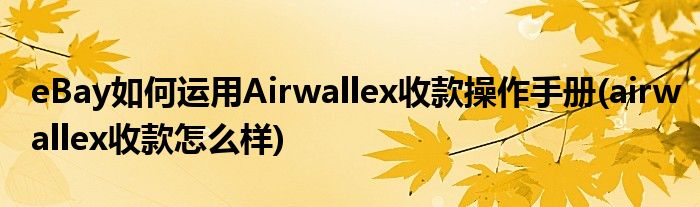 eBay如何運用Airwallex收款操作手冊(airwallex收款怎么樣)