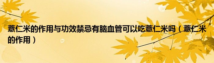 薏仁米的作用與功效禁忌有腦血管可以吃薏仁米嗎（薏仁米的作用）