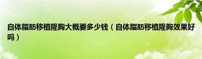 自體脂肪移植隆胸大概要多少錢（自體脂肪移植隆胸效果好嗎）