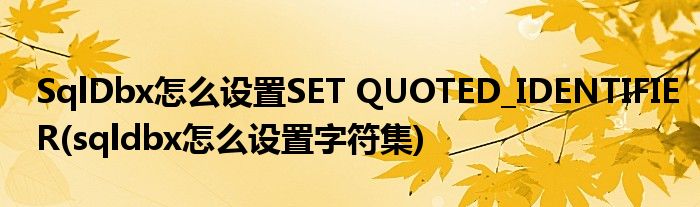 SqlDbx怎么設(shè)置SET QUOTED_IDENTIFIER(sqldbx怎么設(shè)置字符集)