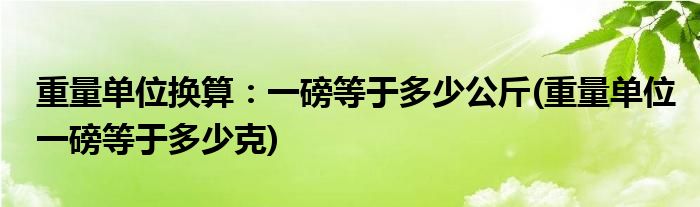 重量單位換算:一磅等于多少公斤(重量單位一磅等于多少克)