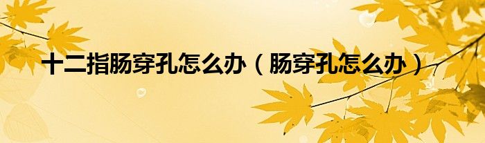 十二指腸穿孔怎么辦（腸穿孔怎么辦）