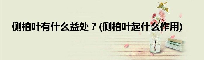 側(cè)柏葉有什么益處？(側(cè)柏葉起什么作用)