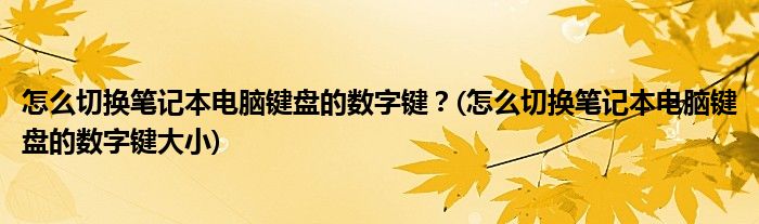 怎么切換筆記本電腦鍵盤的數(shù)字鍵？(怎么切換筆記本電腦鍵盤的數(shù)字鍵大小)
