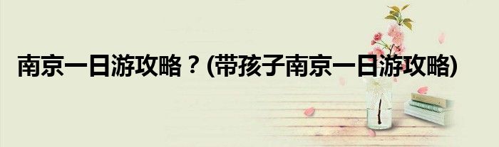 南京一日游攻略？(帶孩子南京一日游攻略)
