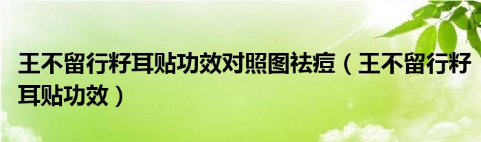 王不留行籽耳貼功效對照圖祛痘（王不留行籽耳貼功效）