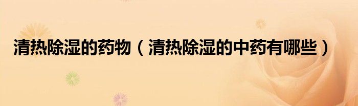 清熱除濕的藥物（清熱除濕的中藥有哪些）