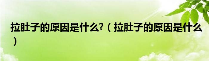 拉肚子的原因是什么?（拉肚子的原因是什么）