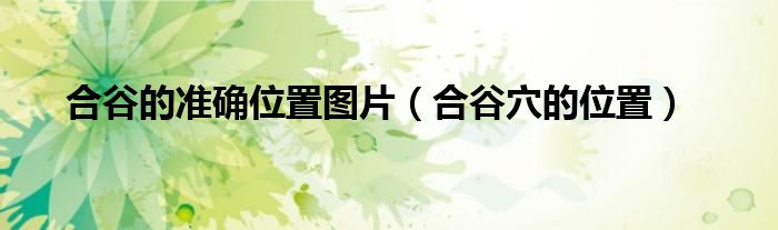 合谷的準確位置圖片（合谷穴的位置）