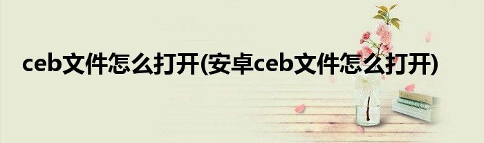 ceb文件怎么打開(安卓ceb文件怎么打開)