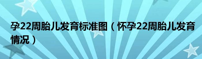 孕22周胎兒發(fā)育標(biāo)準(zhǔn)圖（懷孕22周胎兒發(fā)育情況）