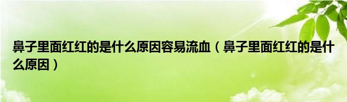 鼻子里面紅紅的是什么原因容易流血(鼻子里面紅紅的是什么原因)