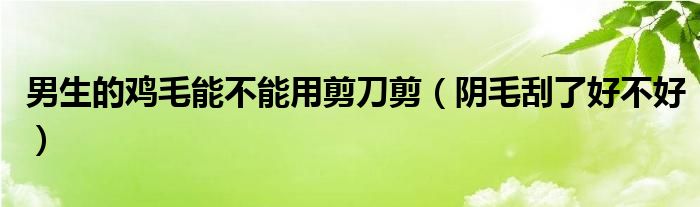 男生的雞毛能不能用剪刀剪（陰毛刮了好不好）