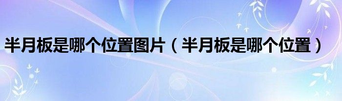 半月板是哪個位置圖片(半月板是哪個位置)