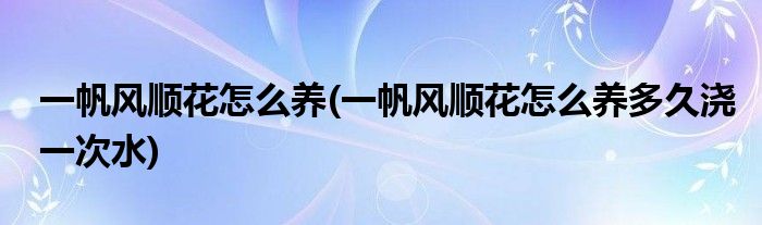 一帆風順花怎么養(yǎng)(一帆風順花怎么養(yǎng)多久澆一次水)