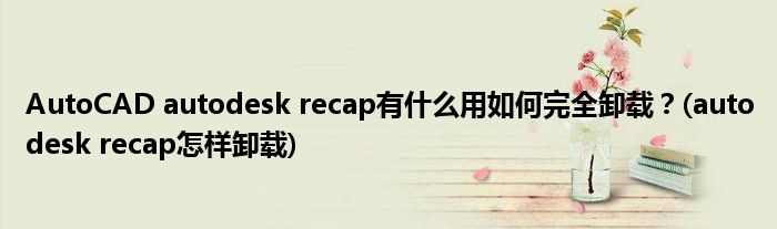 AutoCAD autodesk recap有什么用如何完全卸載？(autodesk recap怎樣卸載)