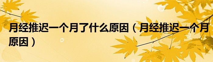 月經(jīng)推遲一個(gè)月了什么原因（月經(jīng)推遲一個(gè)月原因）