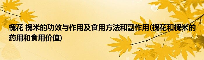 槐花 槐米的功效與作用及食用方法和副作用(槐花和槐米的藥用和食用價(jià)值)