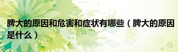 脾大的原因和危害和癥狀有哪些(脾大的原因是什么)