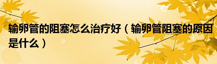 輸卵管的阻塞怎么治療好（輸卵管阻塞的原因是什么）