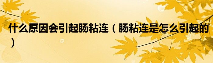 什么原因會引起腸粘連（腸粘連是怎么引起的）