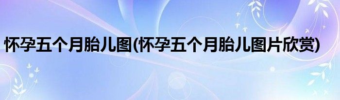 懷孕五個(gè)月胎兒圖(懷孕五個(gè)月胎兒圖片欣賞)