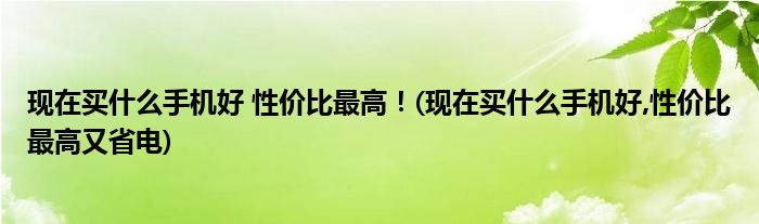 現(xiàn)在買什么手機(jī)好 性價(jià)比最高！(現(xiàn)在買什么手機(jī)好,性價(jià)比最高又省電)