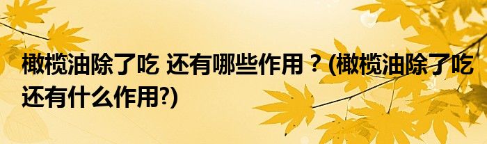 橄欖油除了吃 還有哪些作用？(橄欖油除了吃還有什么作用?)