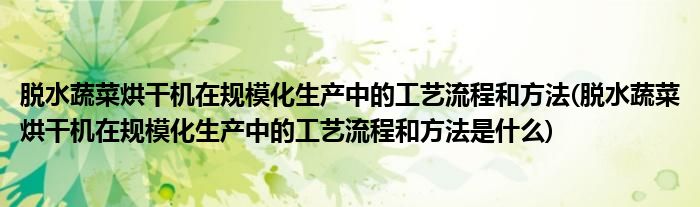 脫水蔬菜烘干機(jī)在規(guī)?；a(chǎn)中的工藝流程和方法(脫水蔬菜烘干機(jī)在規(guī)?；a(chǎn)中的工藝流程和方法是什么)