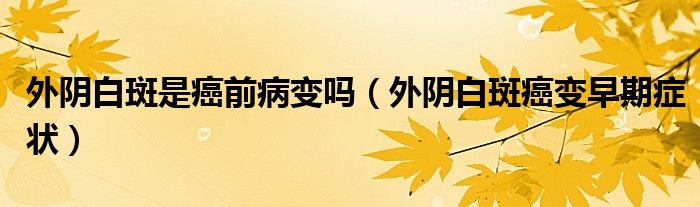 外陰白斑是癌前病變嗎(外陰白斑癌變?cè)缙诎Y狀)