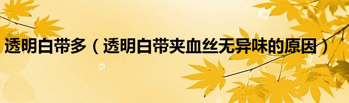 透明白帶多（透明白帶夾血絲無異味的原因）